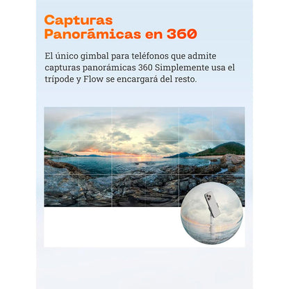 Insta360 Flow Standard Bundle Gris