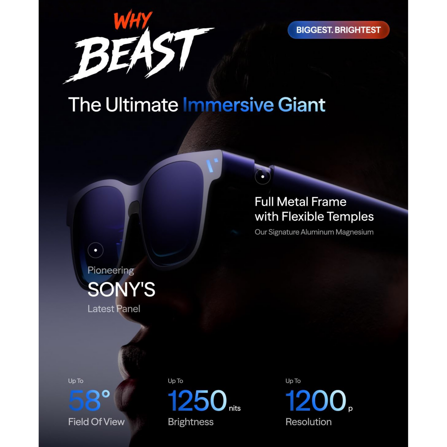 Viture The Beast